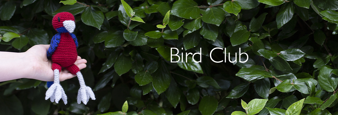 Bird Club